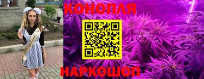 стафф Моздок