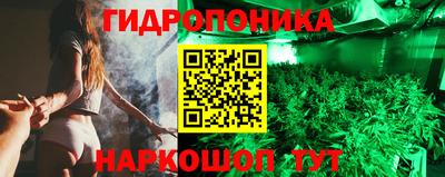 стафф Моздок