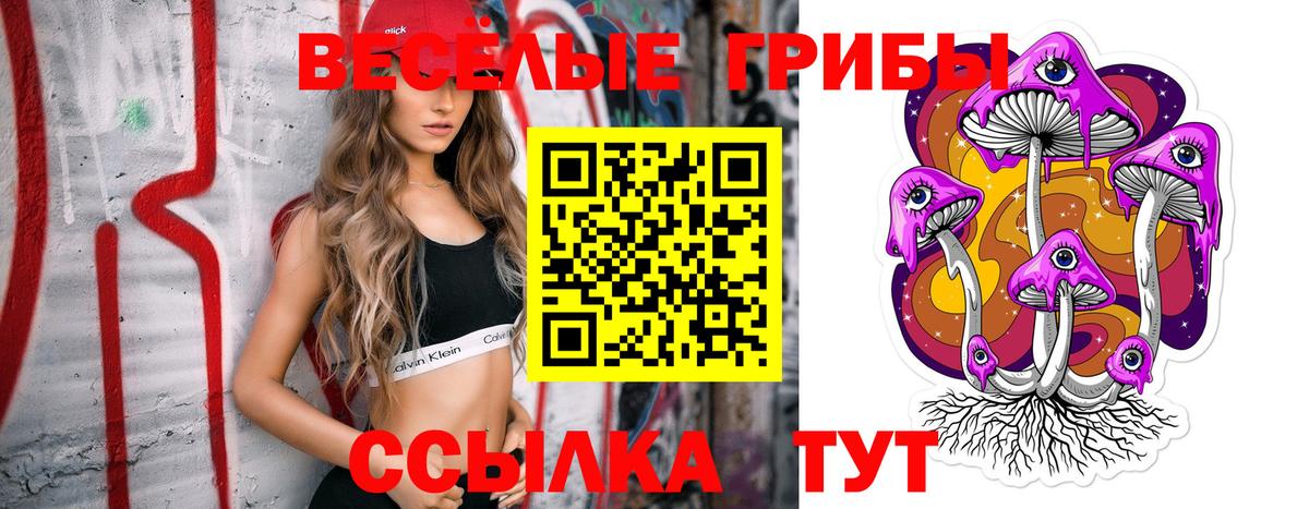 Таганрог  сколько стоит  Вход с VPN  Галлюциногенные грибы мухоморы 