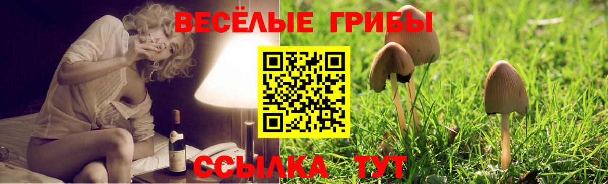 Псилоцибиновые грибы Таганрог